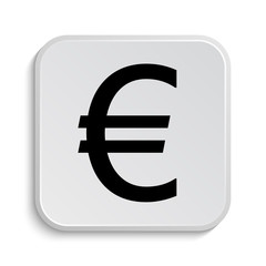 Euro icon