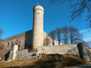 Pikk Hermann towerof the Toompea hill in Tallinn