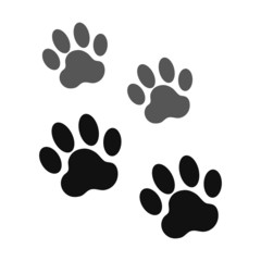 dog paw