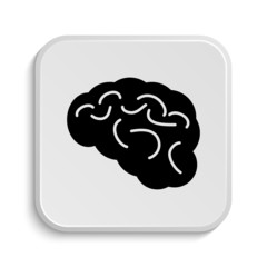 Brain icon