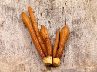 Boesenbergia pandurata