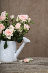 Bouquet of pink roses  in watering can