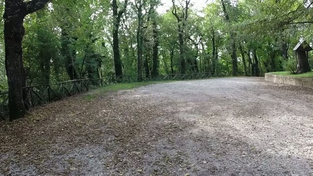 Passeggiata nel bosco