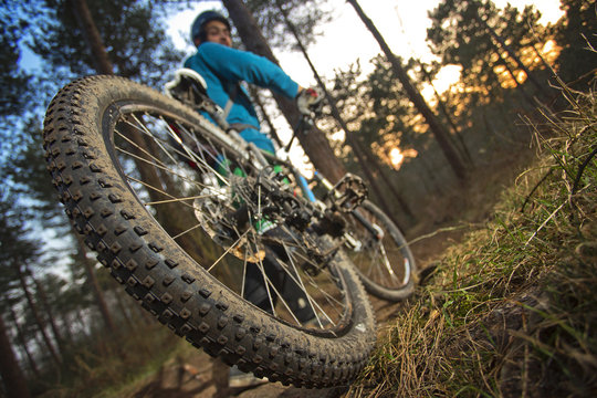 MTB Cyclist On Outdoor Trail