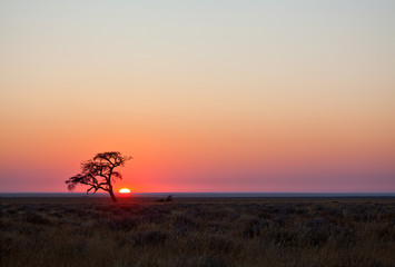 Namibian Sunset