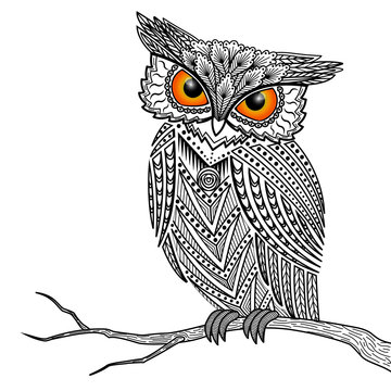 Sova Bilder Durchsuchen 61 Archivfotos, und Videos