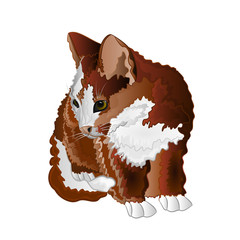 Small kitten color vector