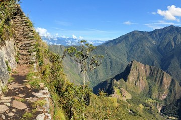 Stairs of trail with Machu Picchu far below in the Andes, Peru