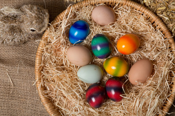 Fototapeta na wymiar Chicks with easter eggs in a easter nest.
