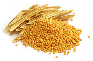 Fresh golden mustard with empty pods