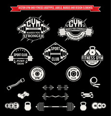 Vector Gym and Fitness Logo, Labels, Badges and Design Elements