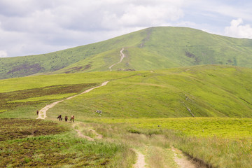 Fototapeta premium mountains landscape