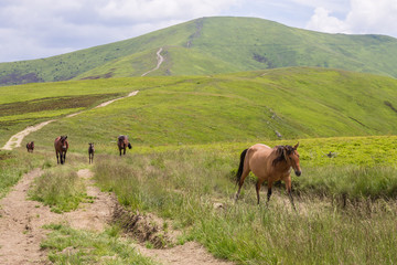 mountains landscape