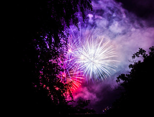 fireworks and trees