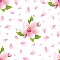 Background seamless pattern with sakura blossom and petals