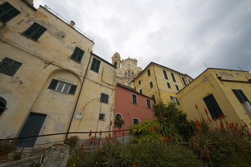 Cervo