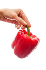 Handheld pepper on white background