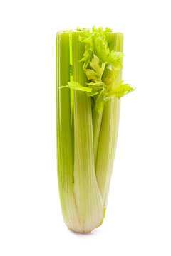 Celery on White Background