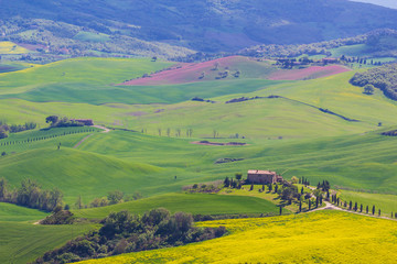 Fototapeta na wymiar Tuscany countryside near Pienza, Italy