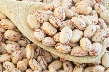 pinto beans