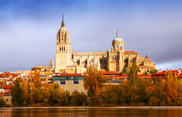 Fototapeta na wymiar Salamanca Cathedral from River