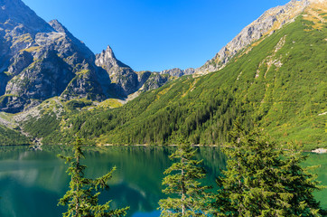 Naklejka na ściany i meble Green water mountain lake Morskie Oko, Tatra Mountains, Poland