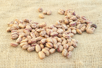 pinto beans