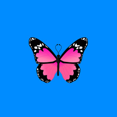 Mariposas 