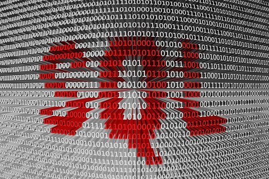 binary code sql