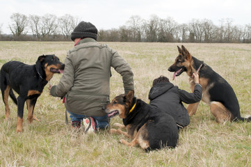 éducation canine