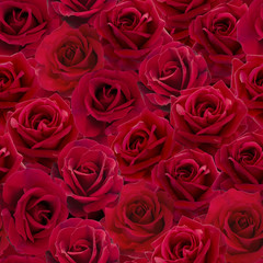 Rode rozen naadloos patroon
