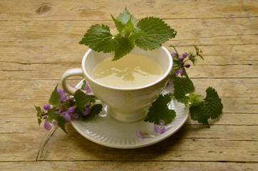 Urtica dioica قراص كبير Ortica Stinging nettle Крапива двудомная