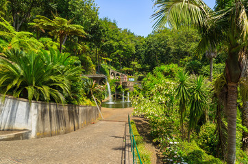 Obraz premium Monte tropical gardens in Funchal town, Madeira island, Portugal