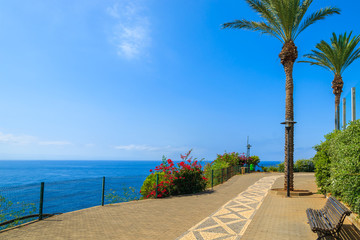 Fototapeta premium Coastal promenade in Funchal town, Madeira island, Portugal