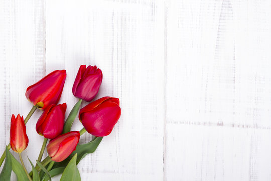 red tulips on white wooden background