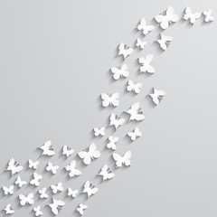 Abstract background with paper  butterfly in the wave form.