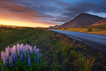 Ring road around Iceland - 80269597