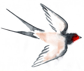 watercolor bird swallows