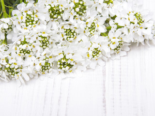 white flowers frame on white wooden background 