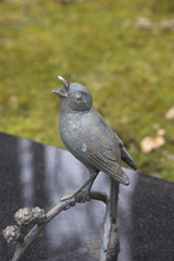 Singvogel auf dem Ast