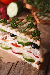 Toast with chicken, vegetables and ingredients, vertical closeup