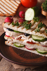 Toast with chicken, vegetables on dish and ingredients. Vertical