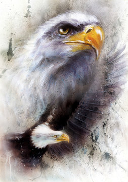 beautiful painting of a two  eagles, on an abstract textured  