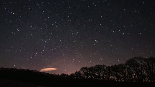4k time lapse stars over the forest
