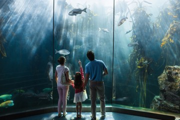 Family looking at fish tank
