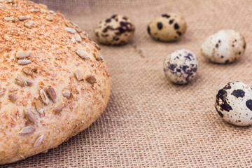 Fresh quail eggs with rye bread