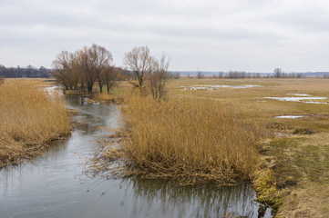 Early spring landscape with small river Merla in Ukraine
