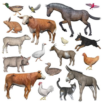 Set of farm animals - 3D render