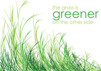 Grass is Greener