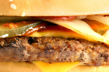 macro fragment burger